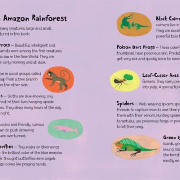 NWT Barefoot Books We're Roaming In The Rainforest - Picture 4 of 4